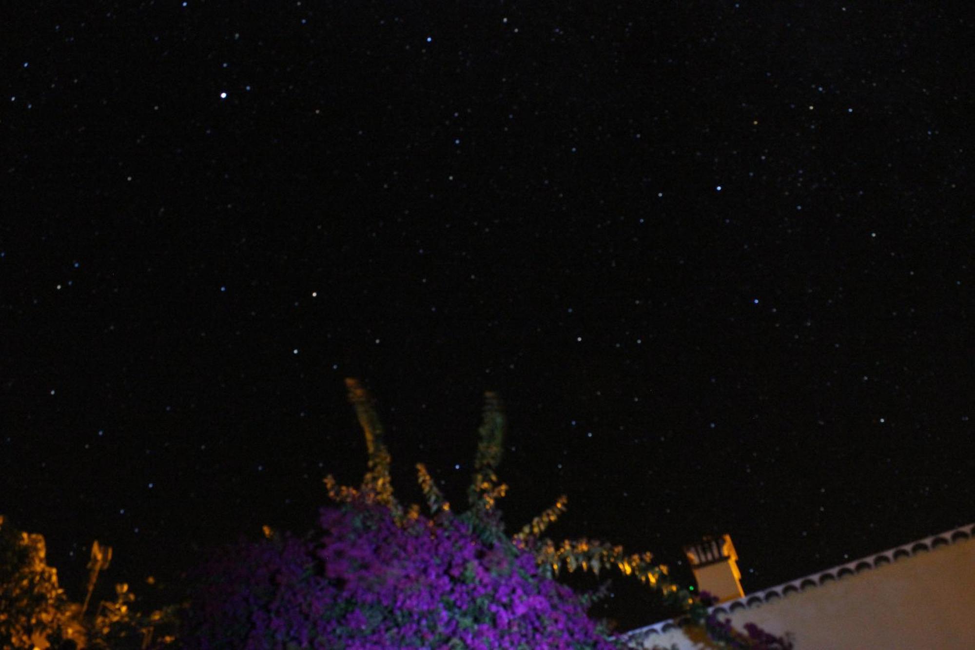 Los Nacientes: Cordero Los Sauces Bagian luar foto